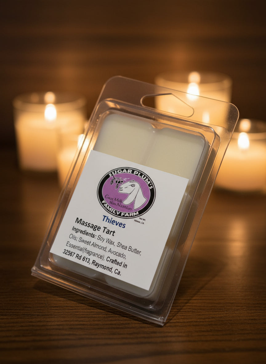 Massage Tarts (Clam Shell)